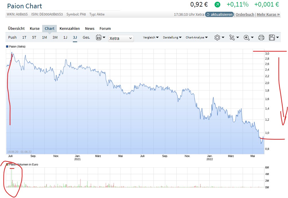 PAION Eine Fledermaus lernt wieder fliegen 1317538