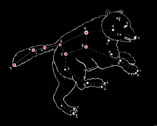 Der USA Bären-Thread 122074