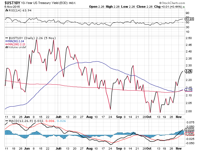Der USA Bären-Thread 869963