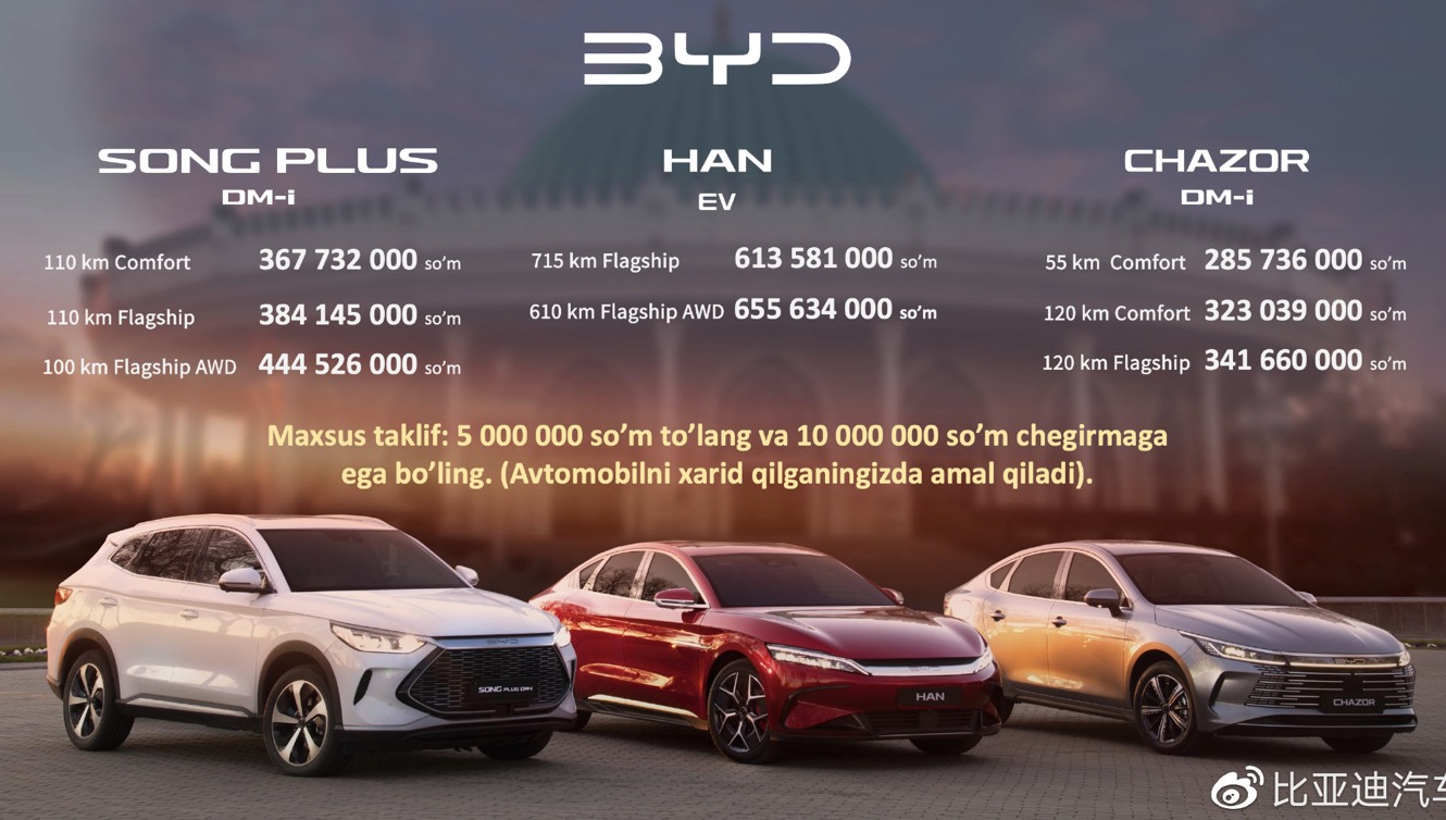 Auto- und Batterien-Herstellers BYD 1362787