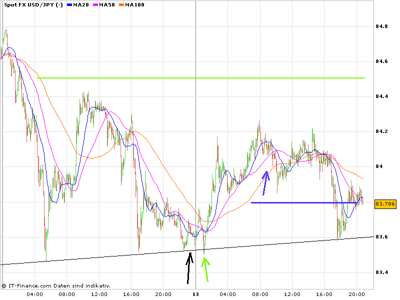 Bear Zocks - daily 395599