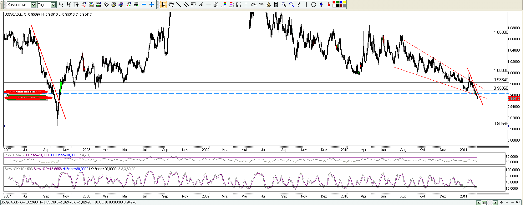 Bear Zocks - daily 394238