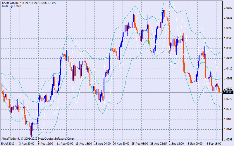 Der USA Bären-Thread 344227