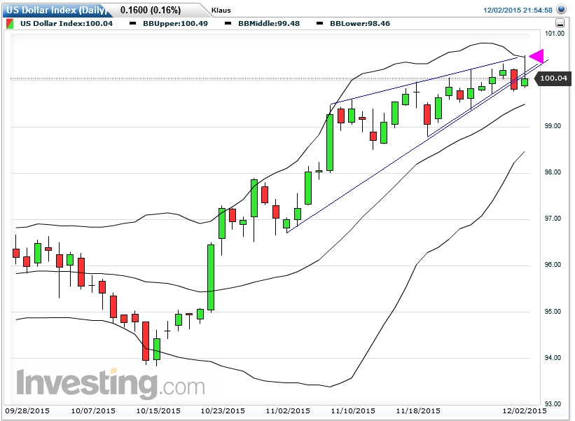 Der USA Bären-Thread 875843