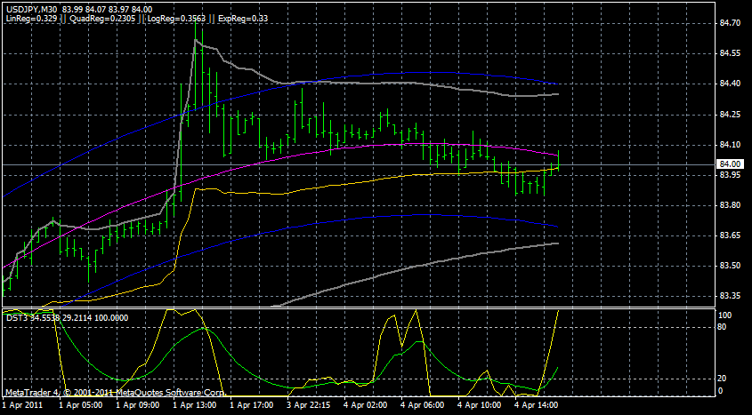 Bear Zocks - daily 393124