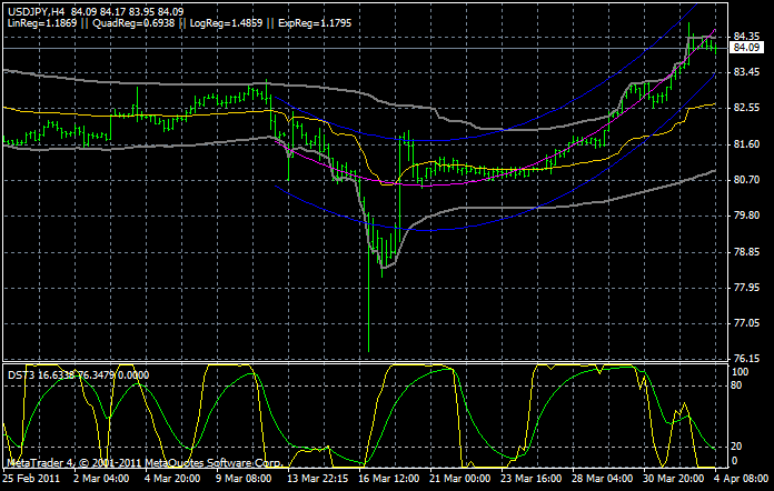 Bear Zocks - daily 393038