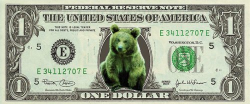 Der USA Bären-Thread 115185