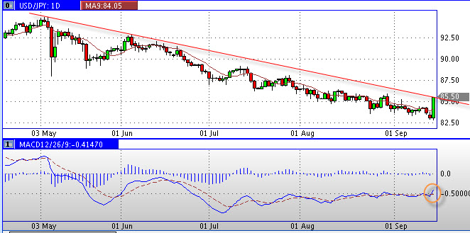 Die Bullen scharren gar nicht mit den Hufen, 345177