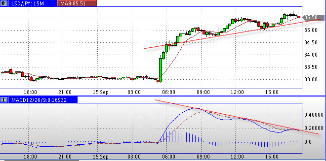 Die Bullen scharren gar nicht mit den Hufen, 345236