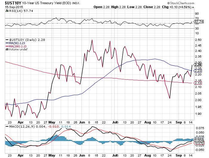 Der USA Bären-Thread 858137