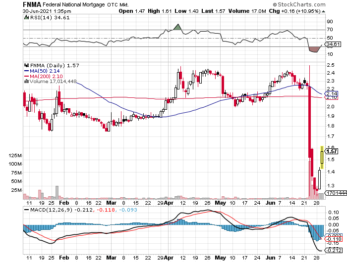 Fannie Mae - Chance auf Verdreifachung bis Juli 1261347
