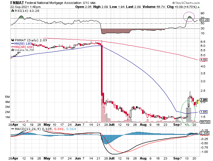 Fannie Mae - Chance auf Verdreifachung bis Juli 1275399