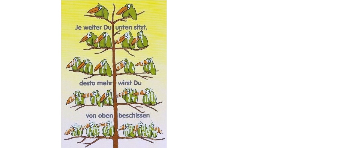 TeleColumbus Achtung -50% 1070005