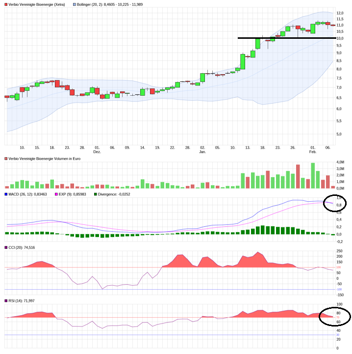 Verbio KZ 11,50 969848