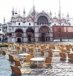 Der USA Bären-Thread 980679