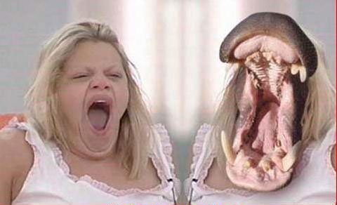 Der USA Bären-Thread 207721