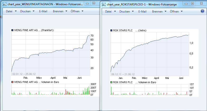 5 Sterne Award für diese Jahresperformance 2012 517895