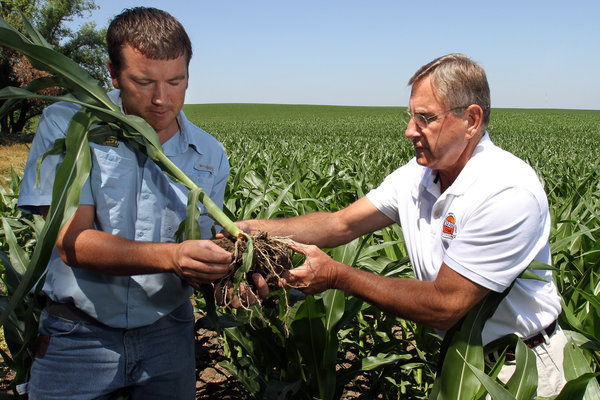 Positive Zukunft mit Verity Corp.(VRTY) 648476