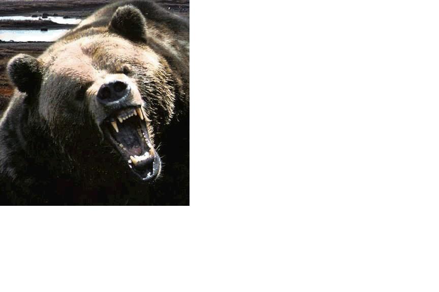 Wenn das Gold redet, dann schweigt die Welt! 245334