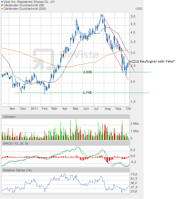 Vical könnte zum echten Homerun werden 447096
