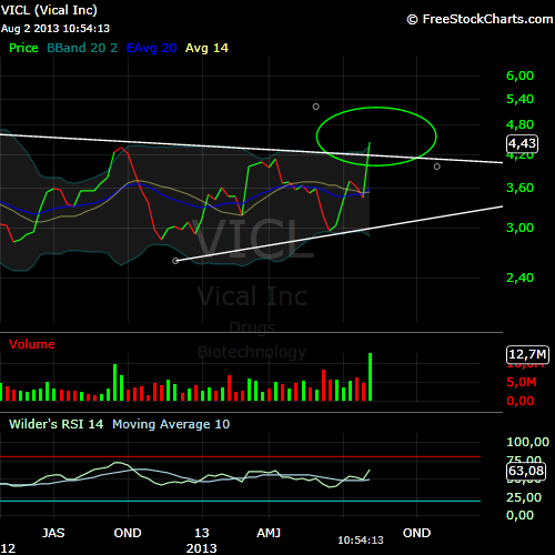 Vical - mit Allovectin7 zum Milliardenkonzern 629461