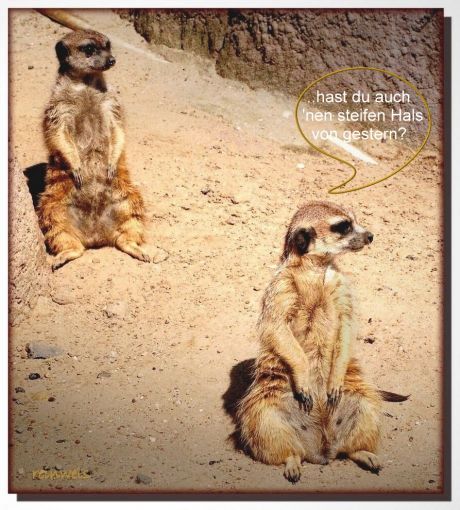 Conergy, Pro und Contra... 455449