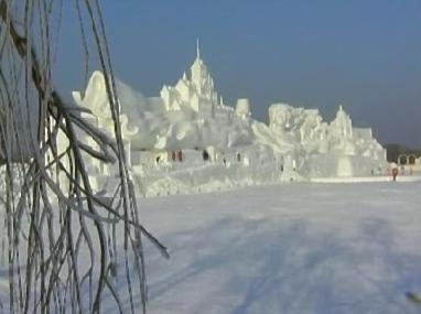 Der USA Bären-Thread 138230