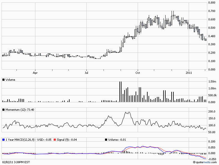 Visible Gold Mines / The Opportunity 377989