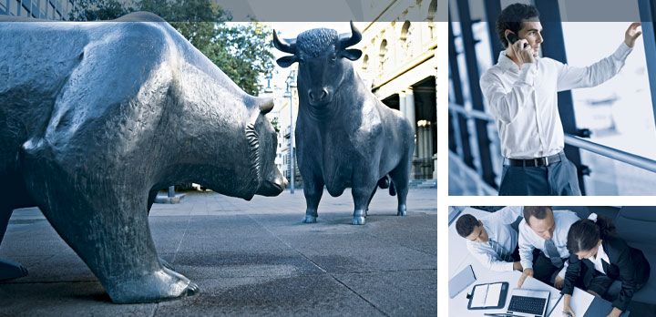 Vivacon kaufen 226799