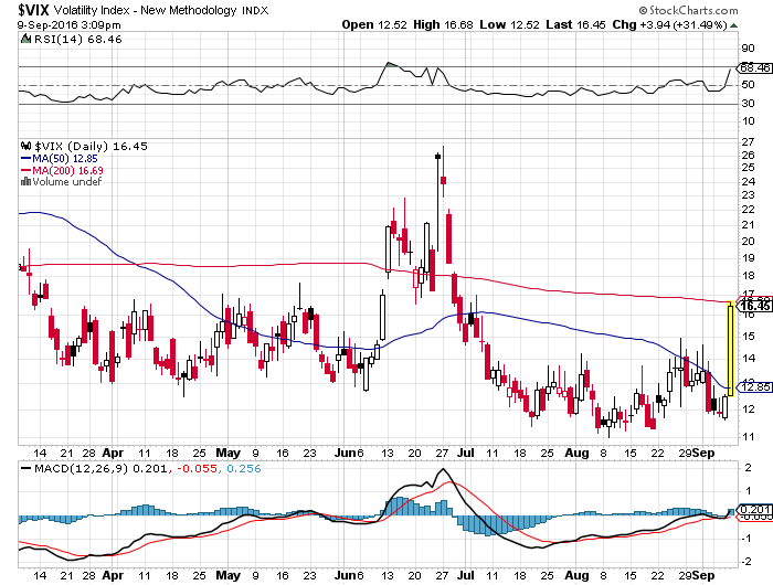 Der USA Bären-Thread 938384