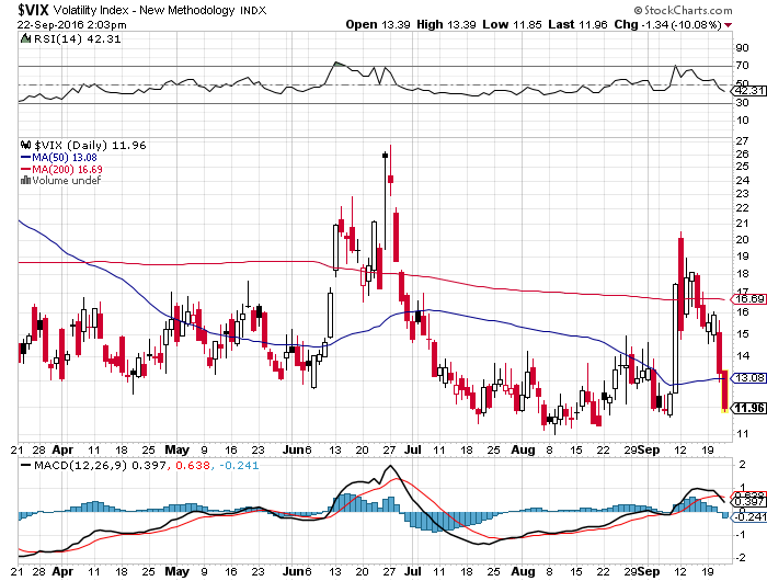 Der USA Bären-Thread 940954