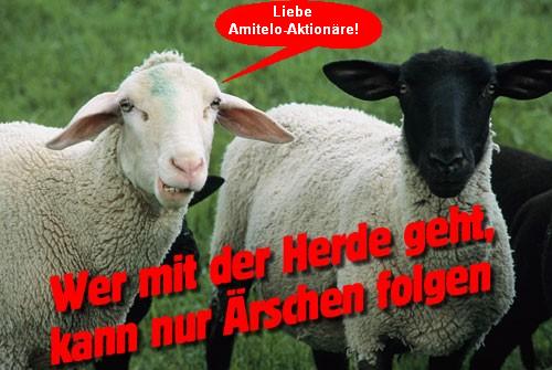 Amitelo hebt Prognosen für 2006 und 2007 an 115734