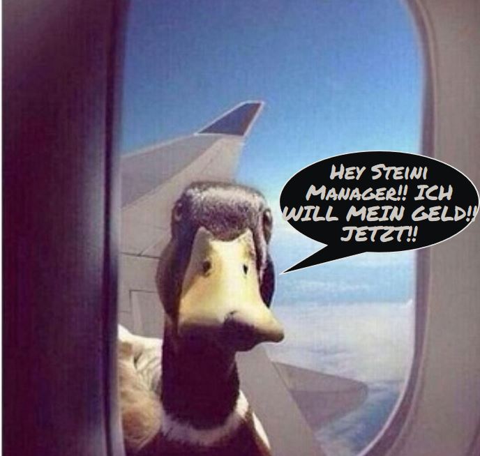 Steinhoff International Holdings N.V. 1375756