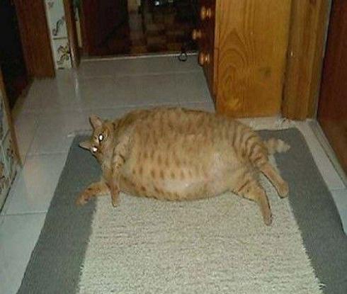 Ariad Pharma on the Top 687480