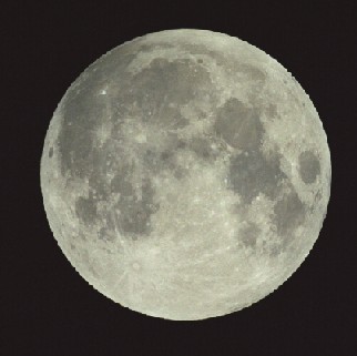 Conergy, wie Phönix aus der Asche ? 287554