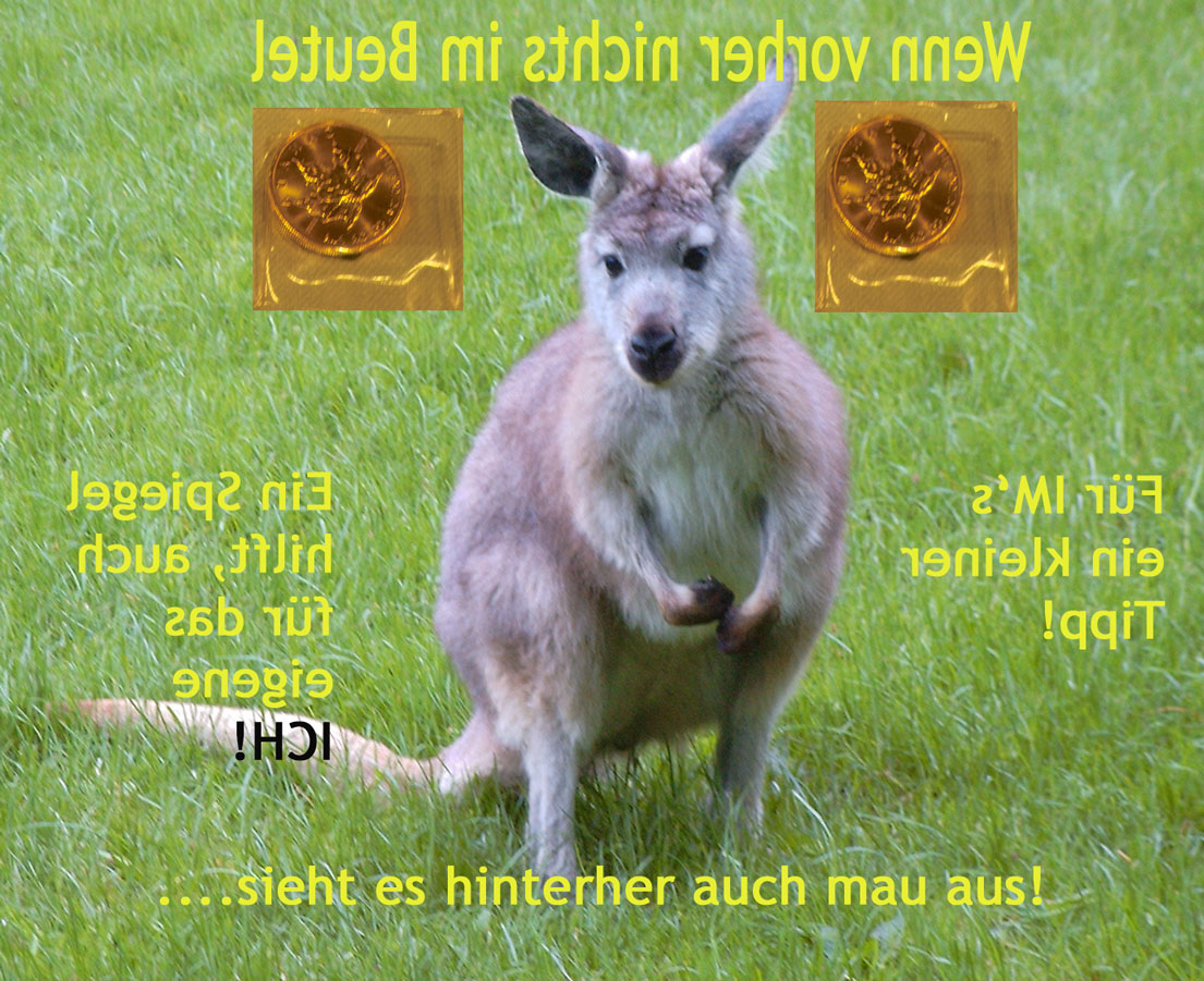 Wenn das Gold redet, dann schweigt die Welt! 510051