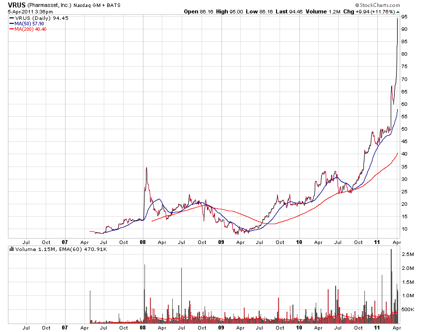 Bear Zocks - daily 393491