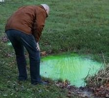 Netcents Technology Thread moderiert A2AFTK 1095236