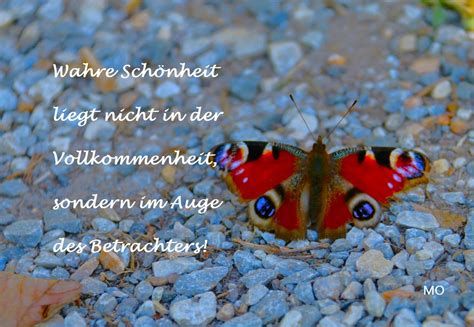 Cliq Digital AG - Turnaroundwette 1426762