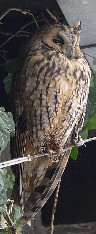 Gold traden - long bzw. short 820757