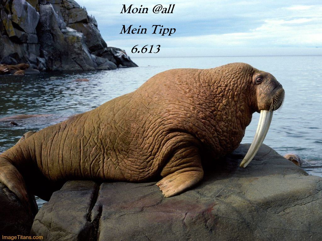 845.DAX-Tipp-Spiel* Donnerstag*07.08.08-17.45 Uhr 178841