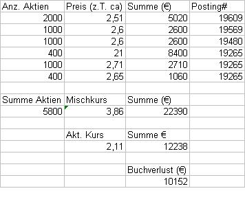 Q-Cells , der Solarzellenriese 362160