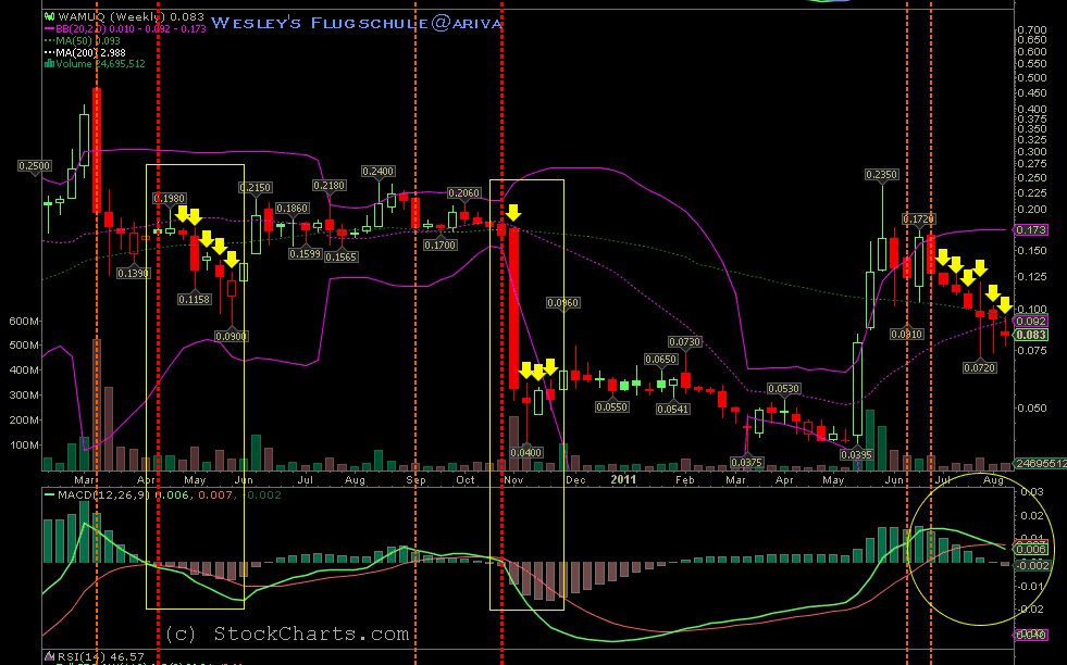 Wesleys Flugschule - US Auslese 429837