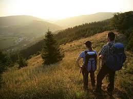 2014 QV DAX-DJ-GOLD-EURUSD-JPY 710897