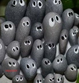 Steinhoff Informationsforum 1289356