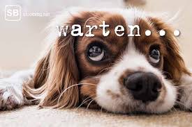 Cobalt, Lithium, Cäsium, Nickel, Gold 1219982