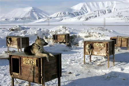 VG Gold ( ISIN: CA9182161021 ) 143988