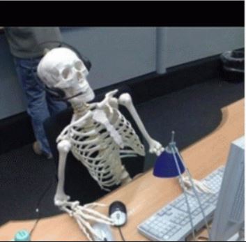 Steinhoff International Holdings N.V. 1175617