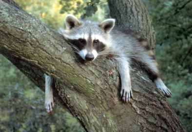 866.DAX Tipp-Spiel *Freitag* 05.09.08, 17.45 Uhr 184375