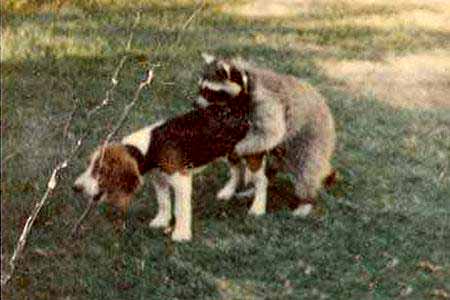 640.DAX Tipp-Spiel, Montag, 15.10.07 125619